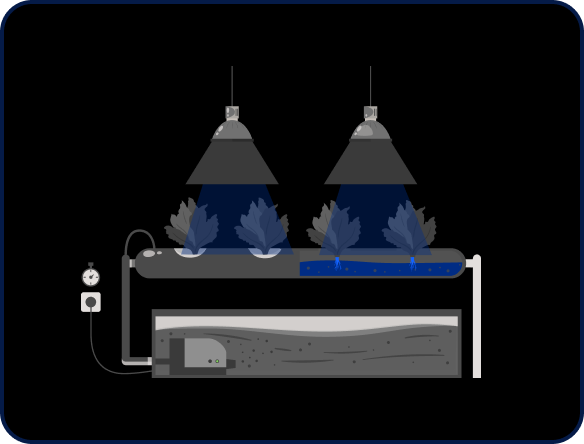 Smart hydroponics grow-bed with controlled lighting and dosing